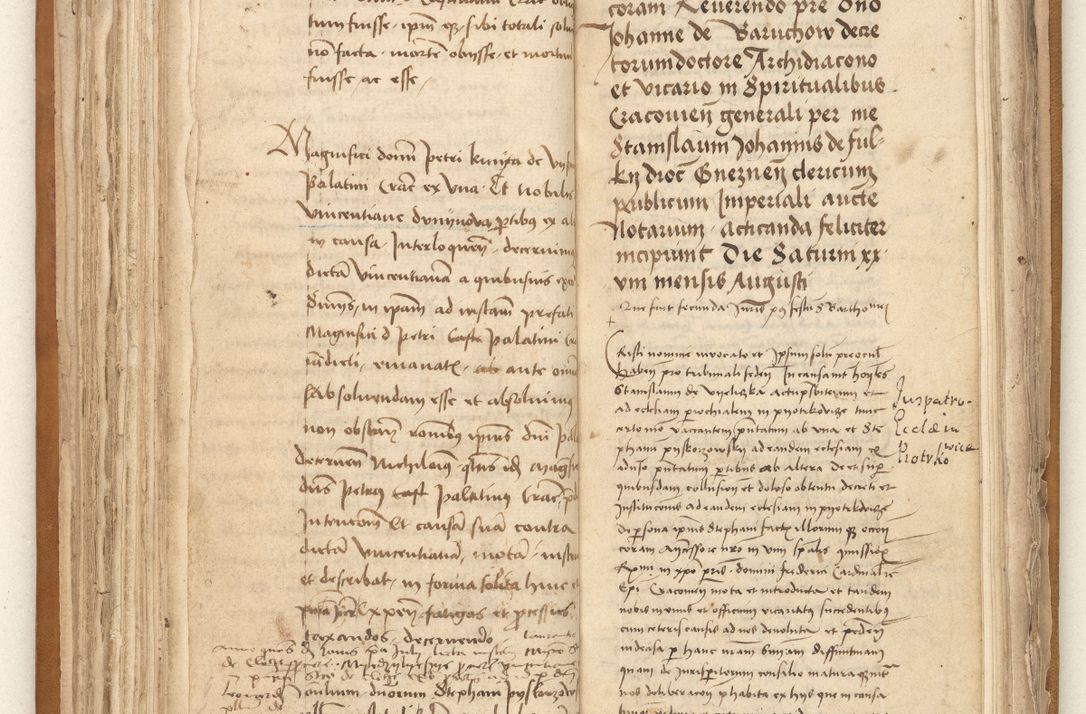 Zdjęcie nr 102 dla obiektu archiwalnego: [Acta sententiarum vicarialia coram Johanne de Goslaw]