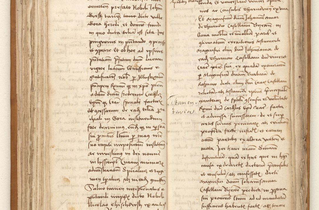 Zdjęcie nr 96 dla obiektu archiwalnego: [Acta sententiarum vicarialia coram Johanne de Goslaw]