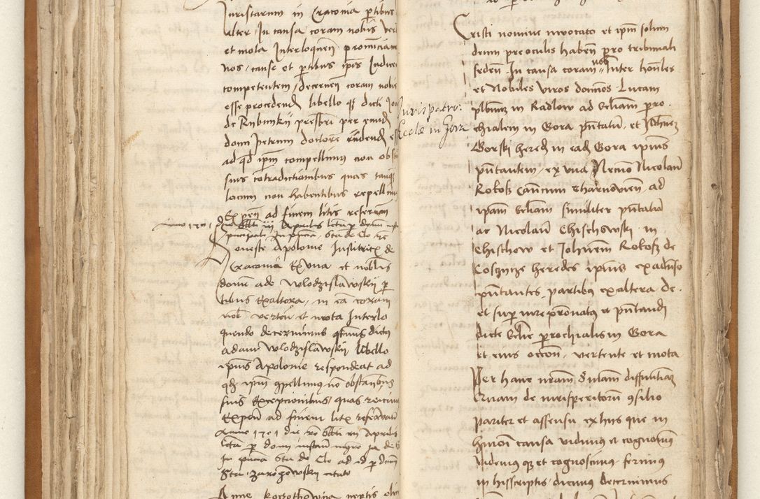 Zdjęcie nr 95 dla obiektu archiwalnego: [Acta sententiarum vicarialia coram Johanne de Goslaw]