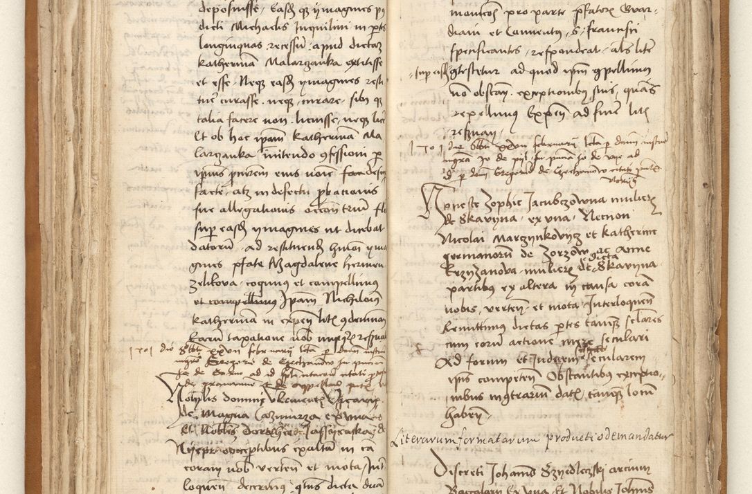 Zdjęcie nr 88 dla obiektu archiwalnego: [Acta sententiarum vicarialia coram Johanne de Goslaw]