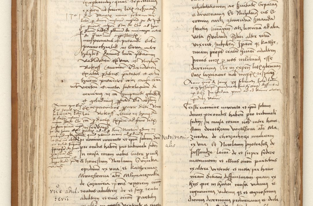 Zdjęcie nr 84 dla obiektu archiwalnego: [Acta sententiarum vicarialia coram Johanne de Goslaw]