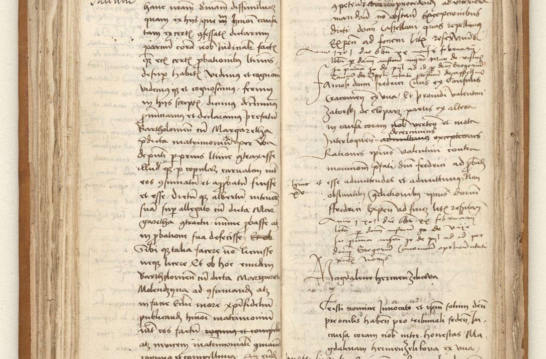 Zdjęcie nr 87 dla obiektu archiwalnego: [Acta sententiarum vicarialia coram Johanne de Goslaw]