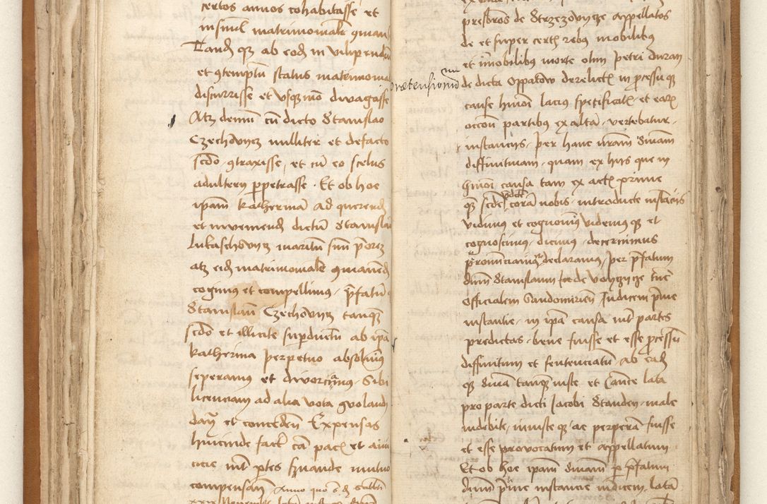 Zdjęcie nr 78 dla obiektu archiwalnego: [Acta sententiarum vicarialia coram Johanne de Goslaw]