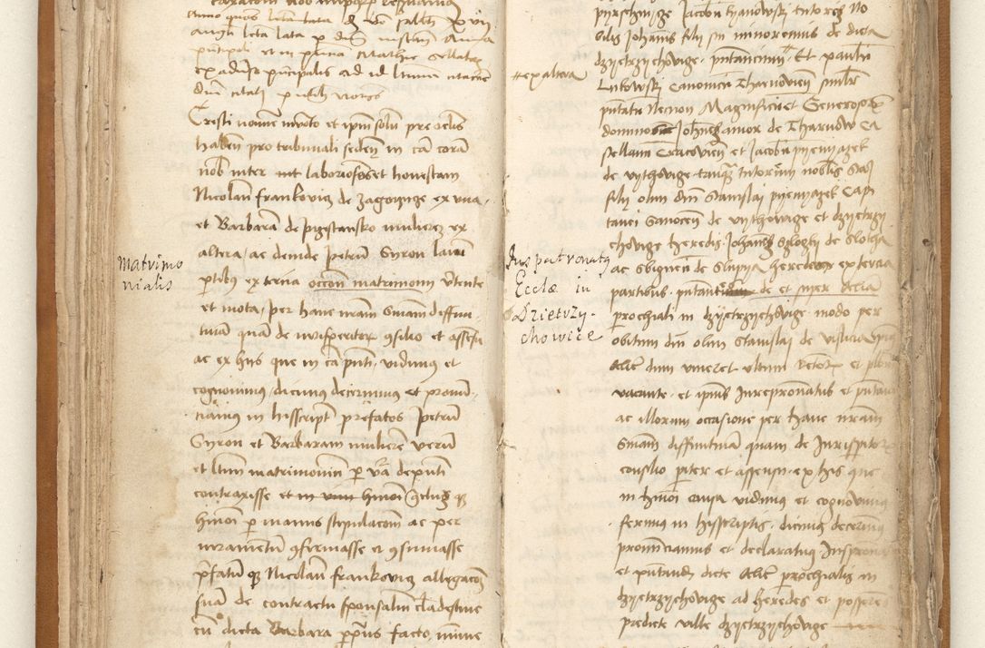 Zdjęcie nr 49 dla obiektu archiwalnego: [Acta sententiarum vicarialia coram Johanne de Goslaw]