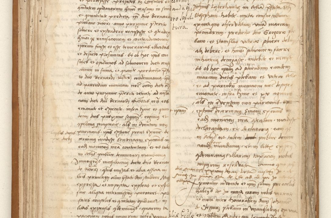 Zdjęcie nr 38 dla obiektu archiwalnego: [Acta sententiarum vicarialia coram Johanne de Goslaw]