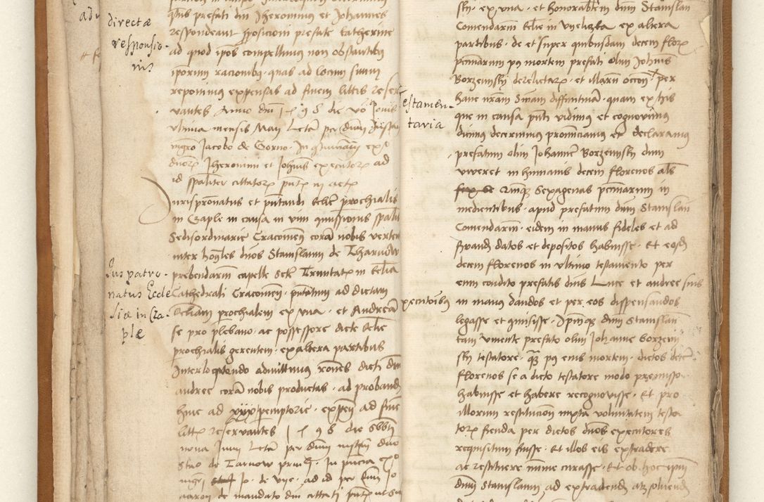 Zdjęcie nr 13 dla obiektu archiwalnego: [Acta sententiarum vicarialia coram Johanne de Goslaw]