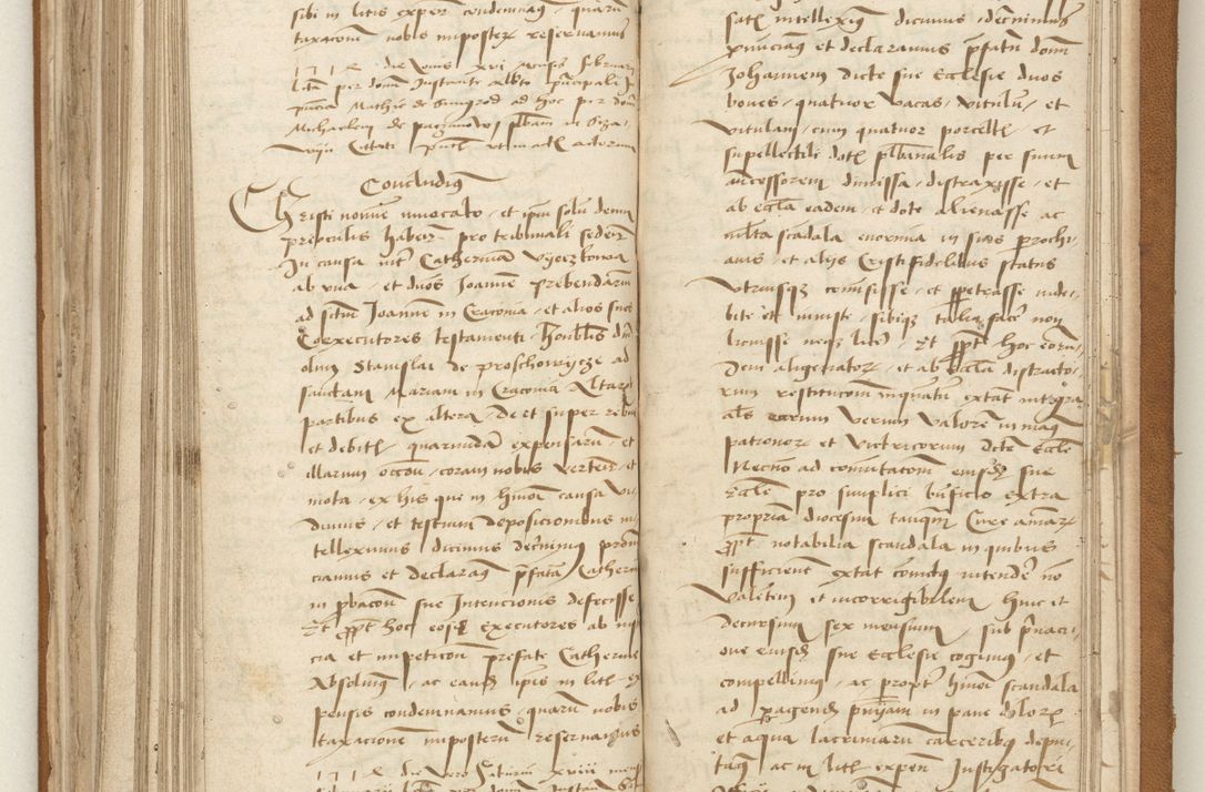 Zdjęcie nr 185 dla obiektu archiwalnego: [Acta obligationum officialia coram Valentino de Ilkusch]