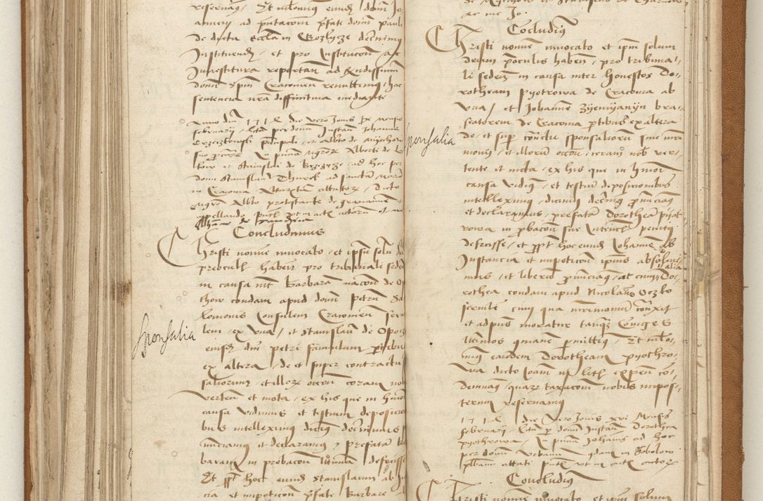 Zdjęcie nr 184 dla obiektu archiwalnego: [Acta obligationum officialia coram Valentino de Ilkusch]