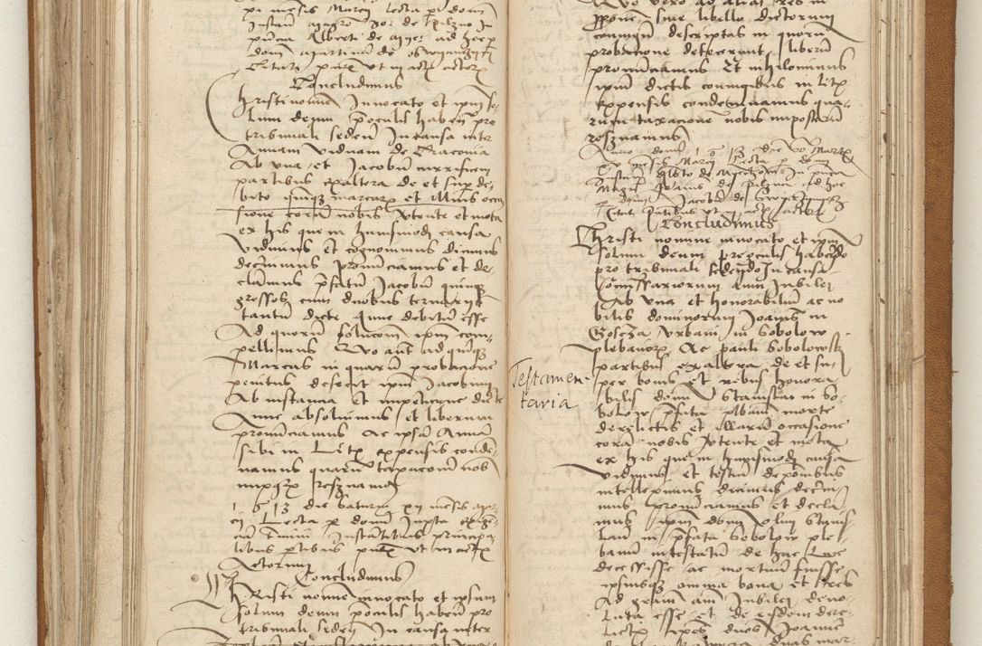 Zdjęcie nr 156 dla obiektu archiwalnego: [Acta obligationum officialia coram Valentino de Ilkusch]