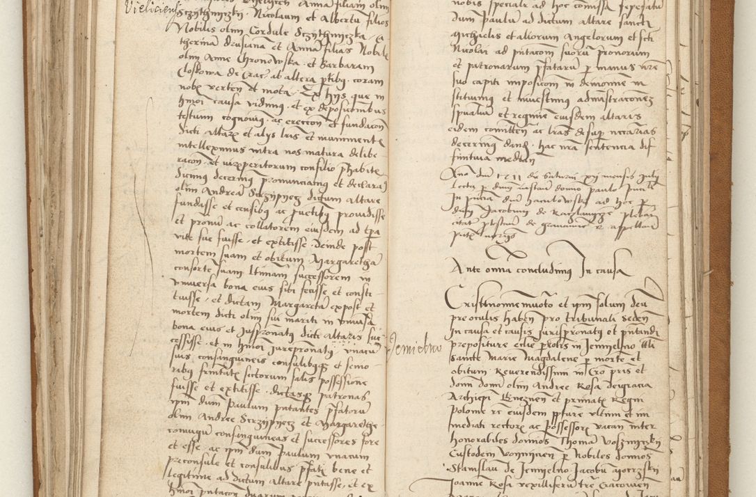 Zdjęcie nr 119 dla obiektu archiwalnego: [Acta obligationum officialia coram Valentino de Ilkusch]