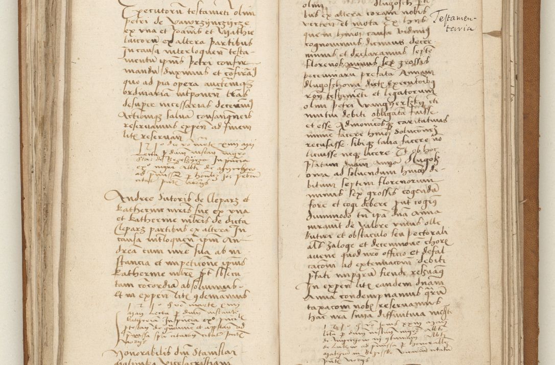 Zdjęcie nr 94 dla obiektu archiwalnego: [Acta obligationum officialia coram Valentino de Ilkusch]