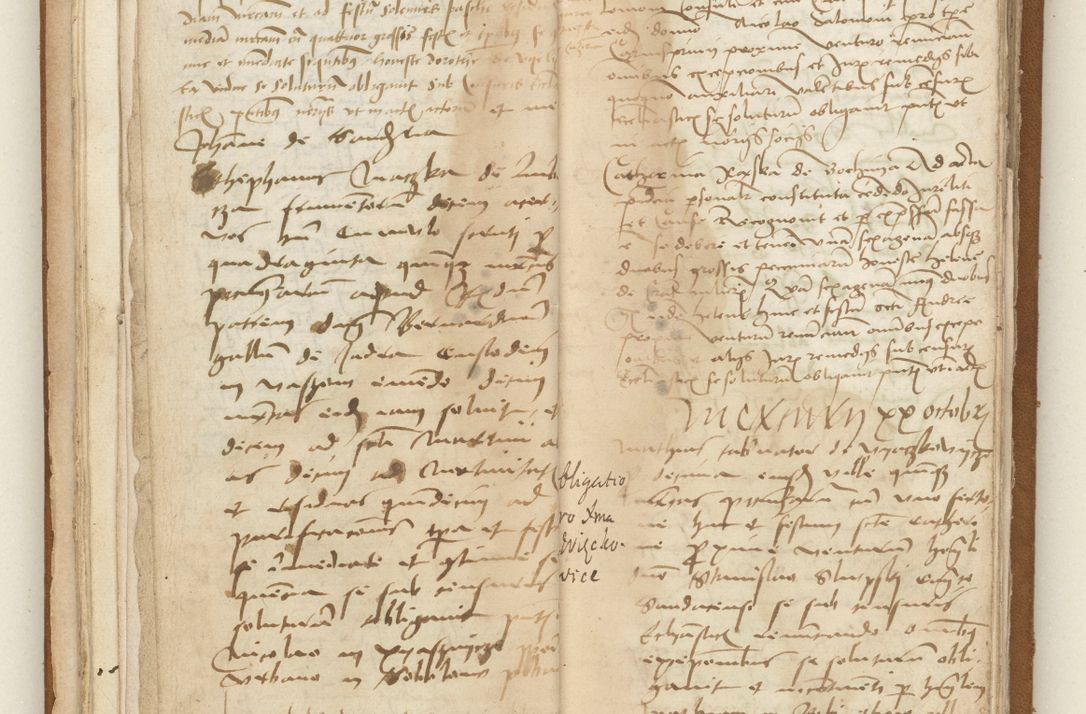 Zdjęcie nr 31 dla obiektu archiwalnego: [Acta obligationum officialia coram Valentino de Ilkusch]