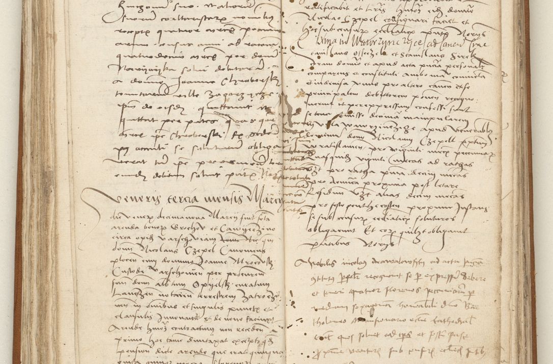 Zdjęcie nr 101 dla obiektu archiwalnego: [Acta obligationum officialia coram Valentino de Ilkusch]