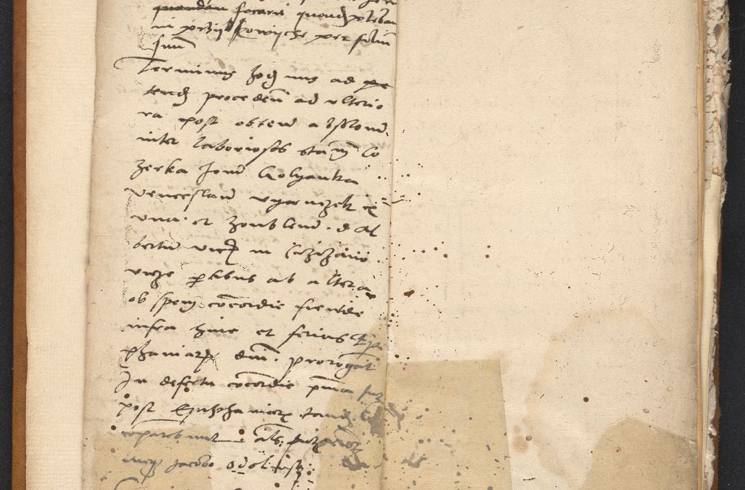 Zdjęcie nr 5 dla obiektu archiwalnego: [Acta constitutionum procuratorum vicarialia coram Nicolao Bedlenski]