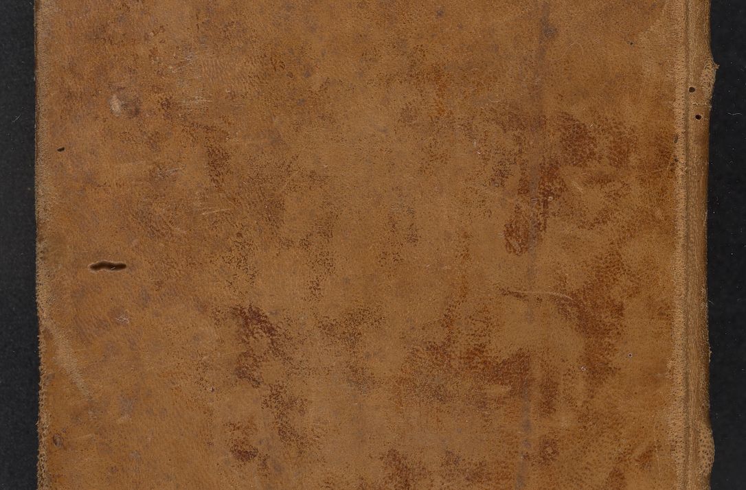 Zdjęcie nr 2 dla obiektu archiwalnego: [Acta constitutionum procuratorum vicarialia coram Nicolao Bedlenski]