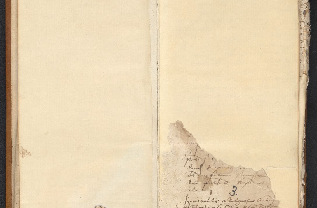 Zdjęcie nr 7 dla obiektu archiwalnego: [Acta constitutionum procuratorum vicarialia coram Nicolao Bedlenski]