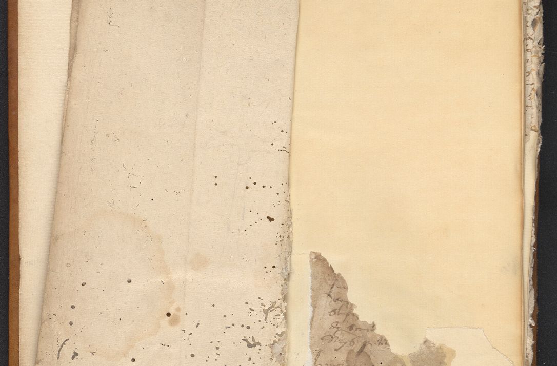 Zdjęcie nr 6 dla obiektu archiwalnego: [Acta constitutionum procuratorum vicarialia coram Nicolao Bedlenski]