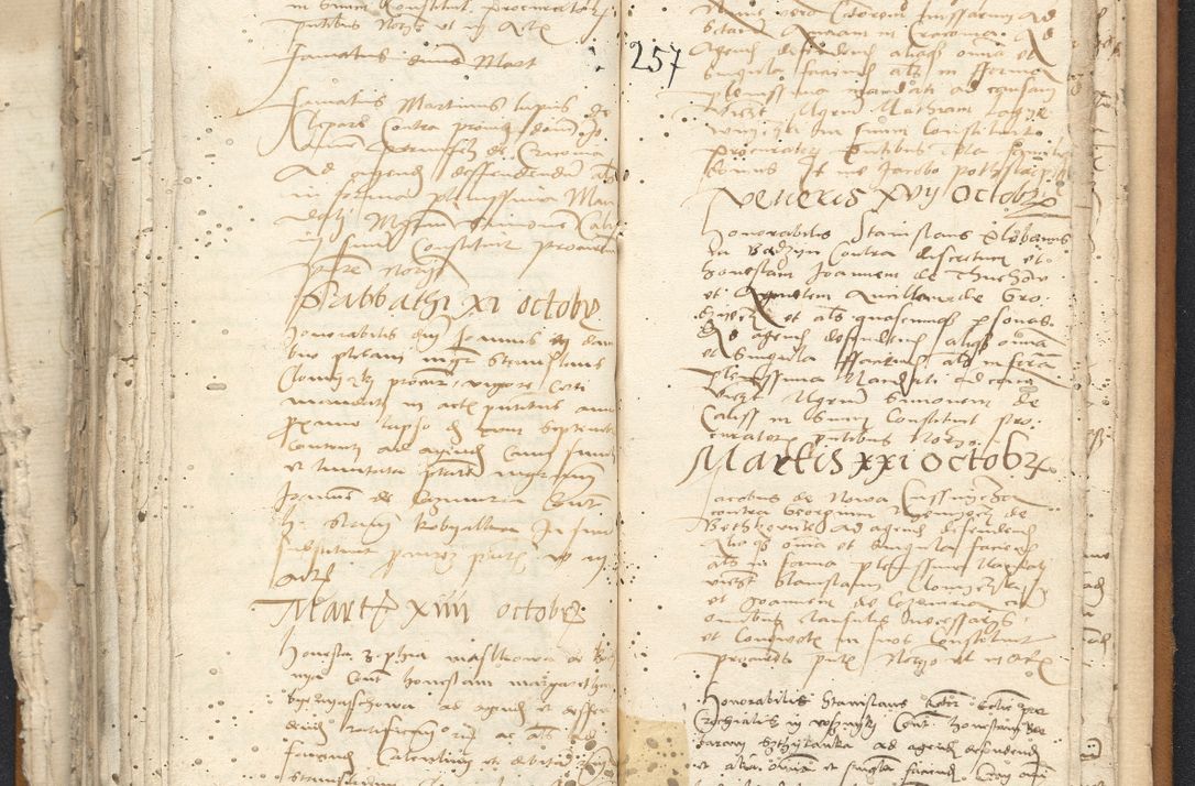 Zdjęcie nr 134 dla obiektu archiwalnego: [Acta constitutionum procuratorum vicarialia coram Nicolao Bedlenski]