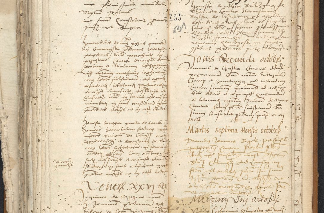 Zdjęcie nr 133 dla obiektu archiwalnego: [Acta constitutionum procuratorum vicarialia coram Nicolao Bedlenski]