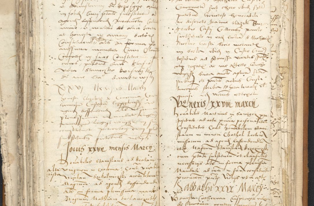 Zdjęcie nr 113 dla obiektu archiwalnego: [Acta constitutionum procuratorum vicarialia coram Nicolao Bedlenski]