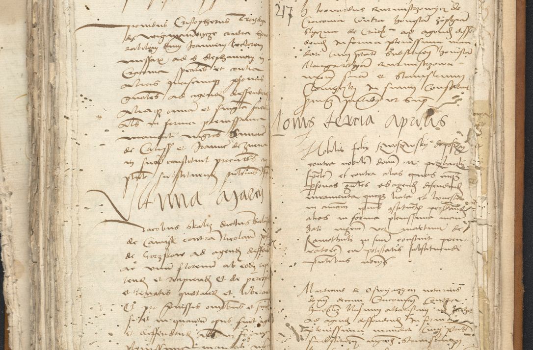 Zdjęcie nr 114 dla obiektu archiwalnego: [Acta constitutionum procuratorum vicarialia coram Nicolao Bedlenski]