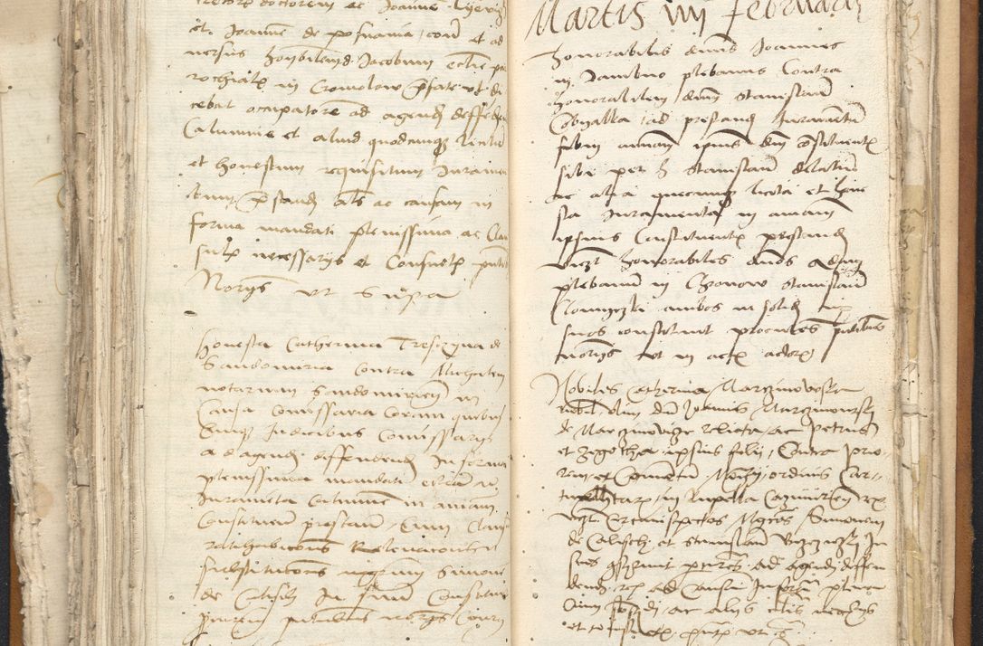 Zdjęcie nr 104 dla obiektu archiwalnego: [Acta constitutionum procuratorum vicarialia coram Nicolao Bedlenski]