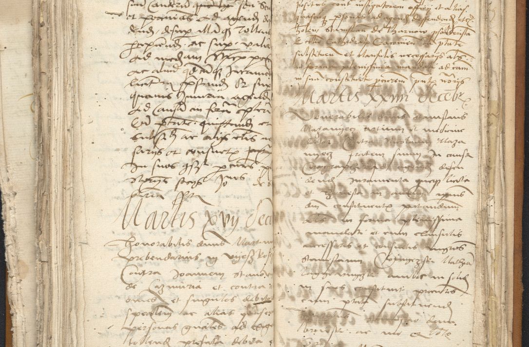 Zdjęcie nr 97 dla obiektu archiwalnego: [Acta constitutionum procuratorum vicarialia coram Nicolao Bedlenski]