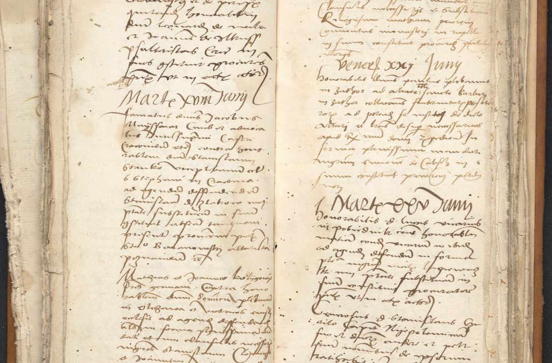 Zdjęcie nr 73 dla obiektu archiwalnego: [Acta constitutionum procuratorum vicarialia coram Nicolao Bedlenski]