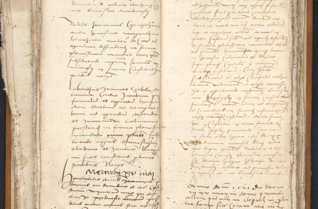 Zdjęcie nr 65 dla obiektu archiwalnego: [Acta constitutionum procuratorum vicarialia coram Nicolao Bedlenski]