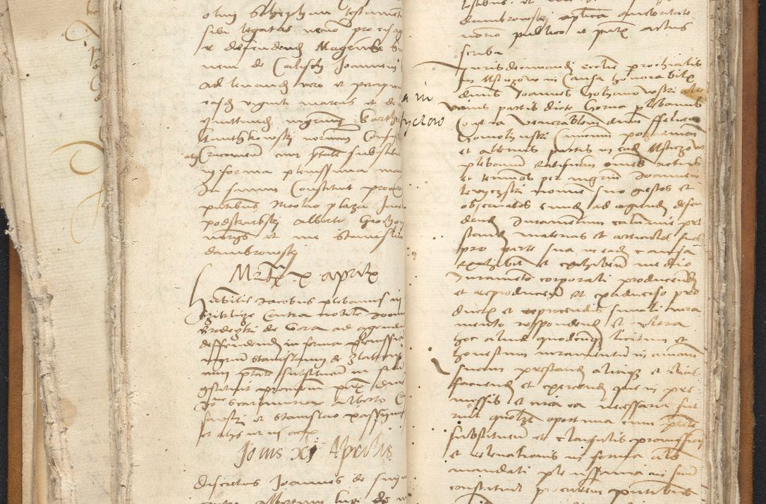 Zdjęcie nr 60 dla obiektu archiwalnego: [Acta constitutionum procuratorum vicarialia coram Nicolao Bedlenski]