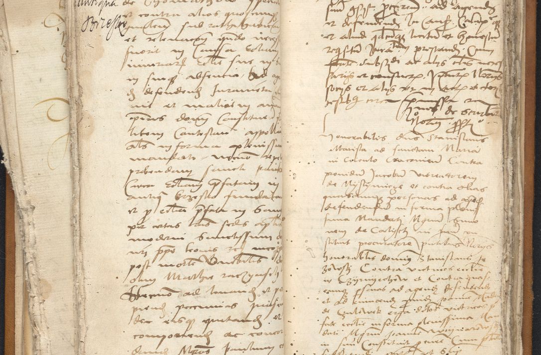 Zdjęcie nr 59 dla obiektu archiwalnego: [Acta constitutionum procuratorum vicarialia coram Nicolao Bedlenski]