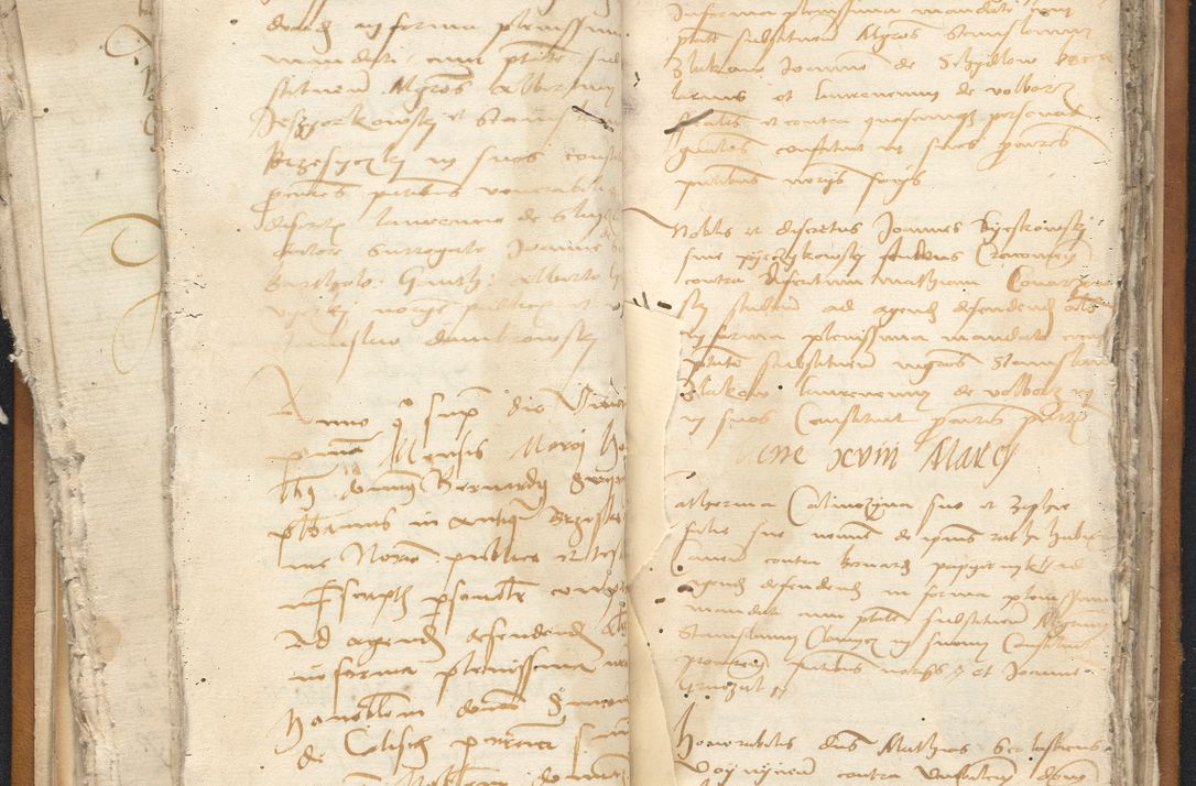 Zdjęcie nr 56 dla obiektu archiwalnego: [Acta constitutionum procuratorum vicarialia coram Nicolao Bedlenski]