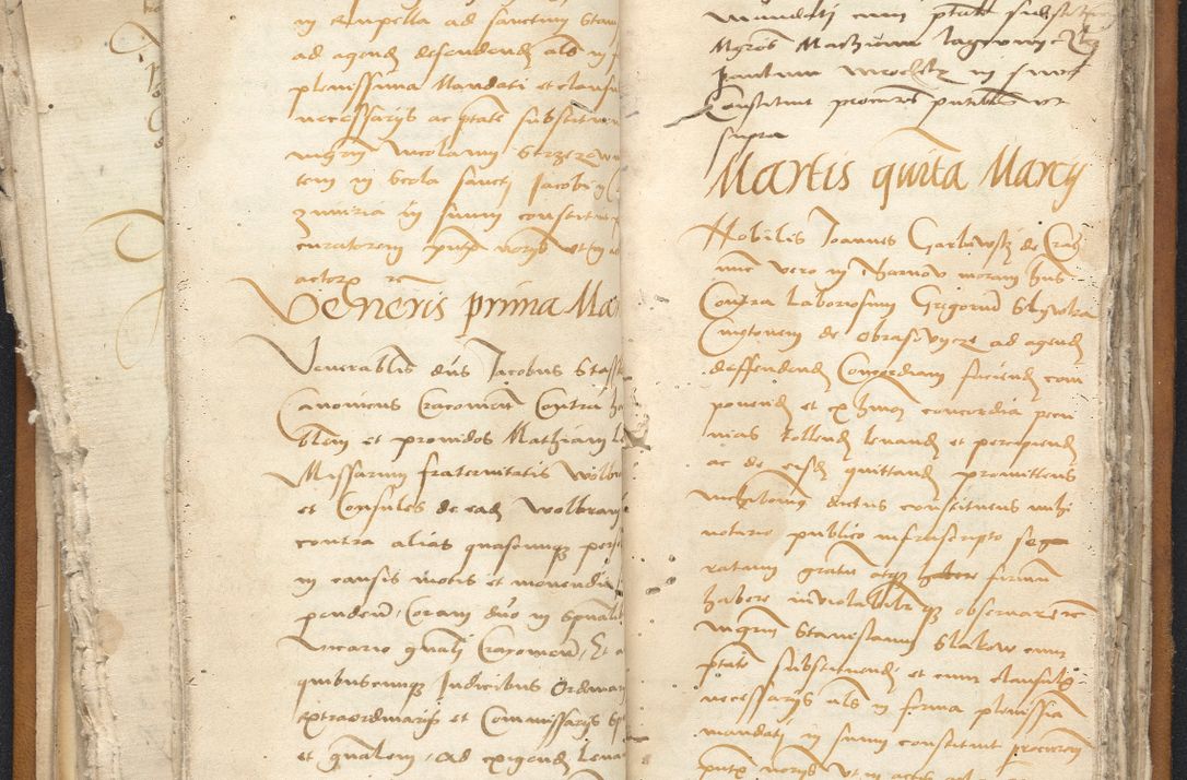 Zdjęcie nr 53 dla obiektu archiwalnego: [Acta constitutionum procuratorum vicarialia coram Nicolao Bedlenski]