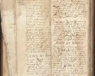 Zdjęcie nr 48 dla obiektu archiwalnego: [Acta constitutionum procuratorum vicarialia coram Nicolao Bedlenski]