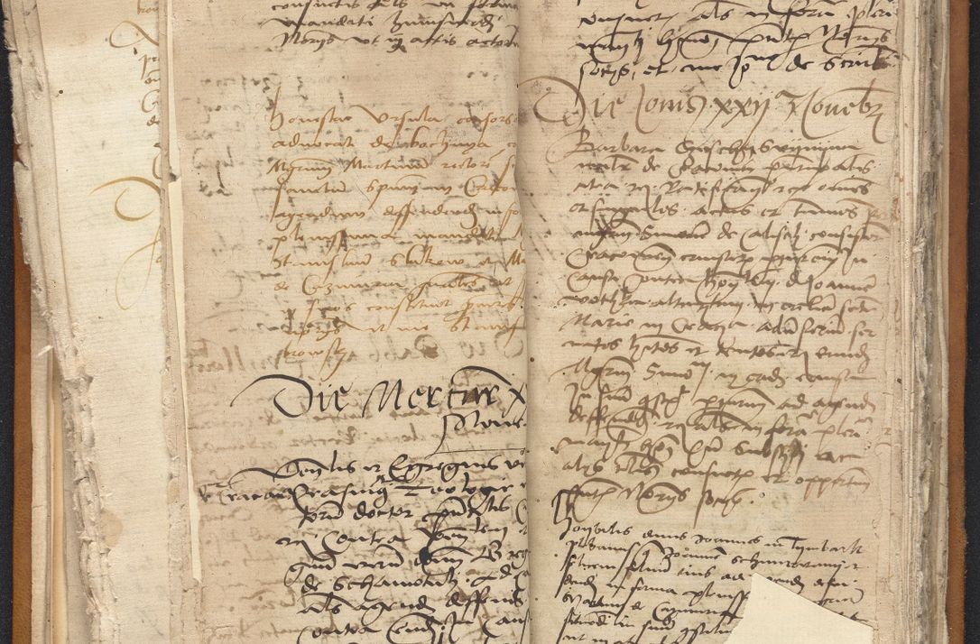 Zdjęcie nr 43 dla obiektu archiwalnego: [Acta constitutionum procuratorum vicarialia coram Nicolao Bedlenski]