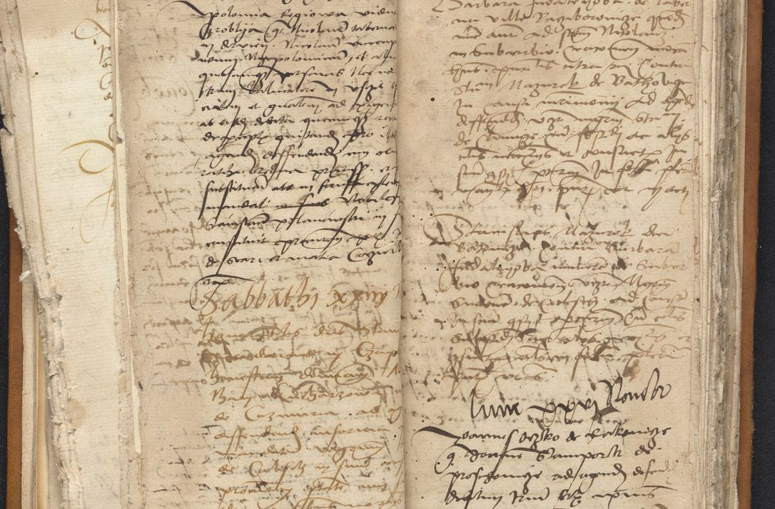 Zdjęcie nr 44 dla obiektu archiwalnego: [Acta constitutionum procuratorum vicarialia coram Nicolao Bedlenski]