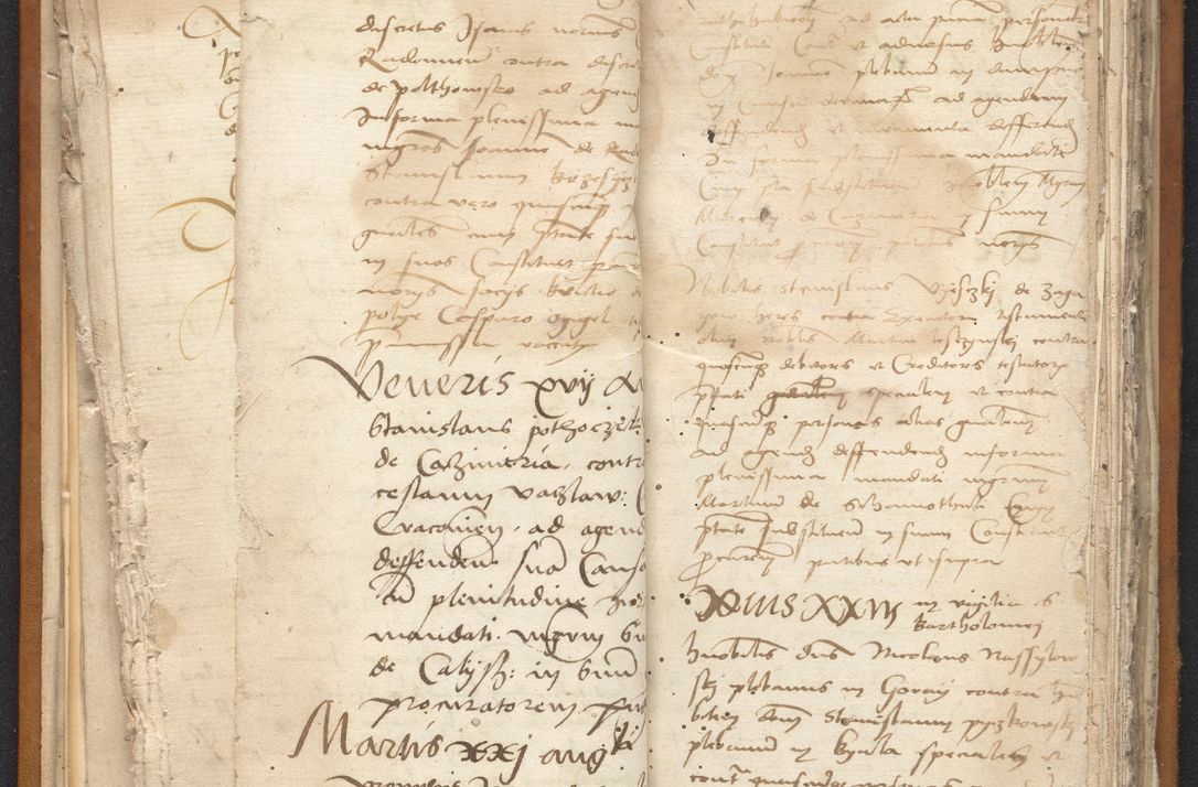 Zdjęcie nr 35 dla obiektu archiwalnego: [Acta constitutionum procuratorum vicarialia coram Nicolao Bedlenski]