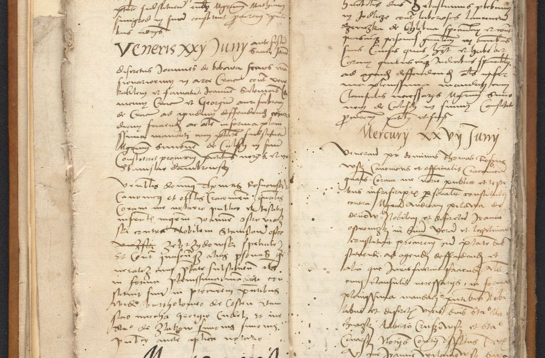 Zdjęcie nr 31 dla obiektu archiwalnego: [Acta constitutionum procuratorum vicarialia coram Nicolao Bedlenski]