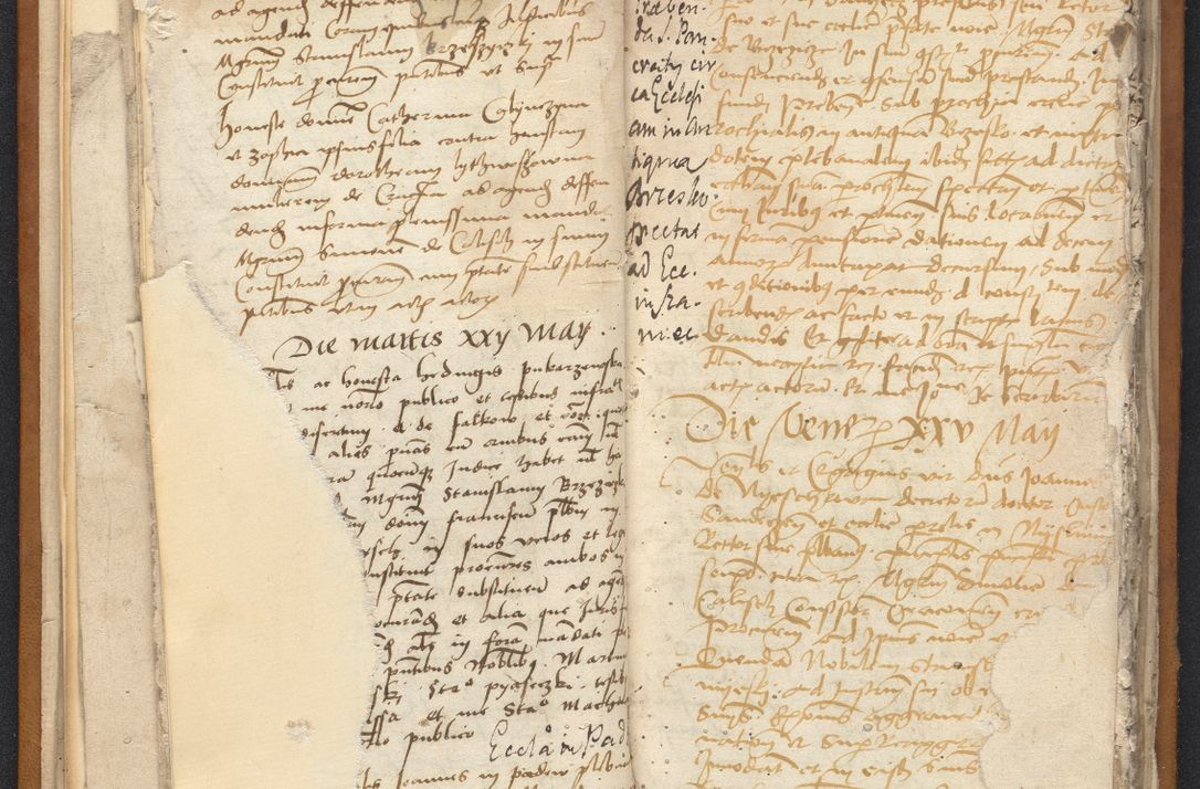 Zdjęcie nr 27 dla obiektu archiwalnego: [Acta constitutionum procuratorum vicarialia coram Nicolao Bedlenski]