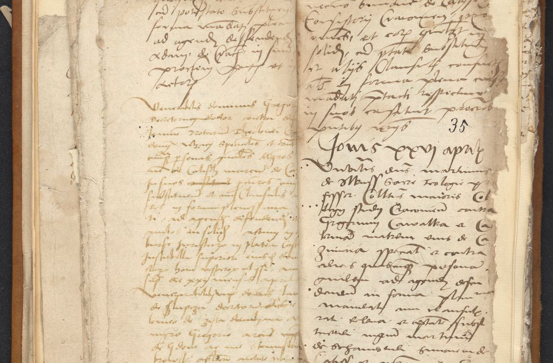 Zdjęcie nr 22 dla obiektu archiwalnego: [Acta constitutionum procuratorum vicarialia coram Nicolao Bedlenski]