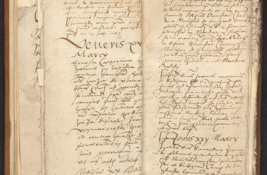 Zdjęcie nr 17 dla obiektu archiwalnego: [Acta constitutionum procuratorum vicarialia coram Nicolao Bedlenski]