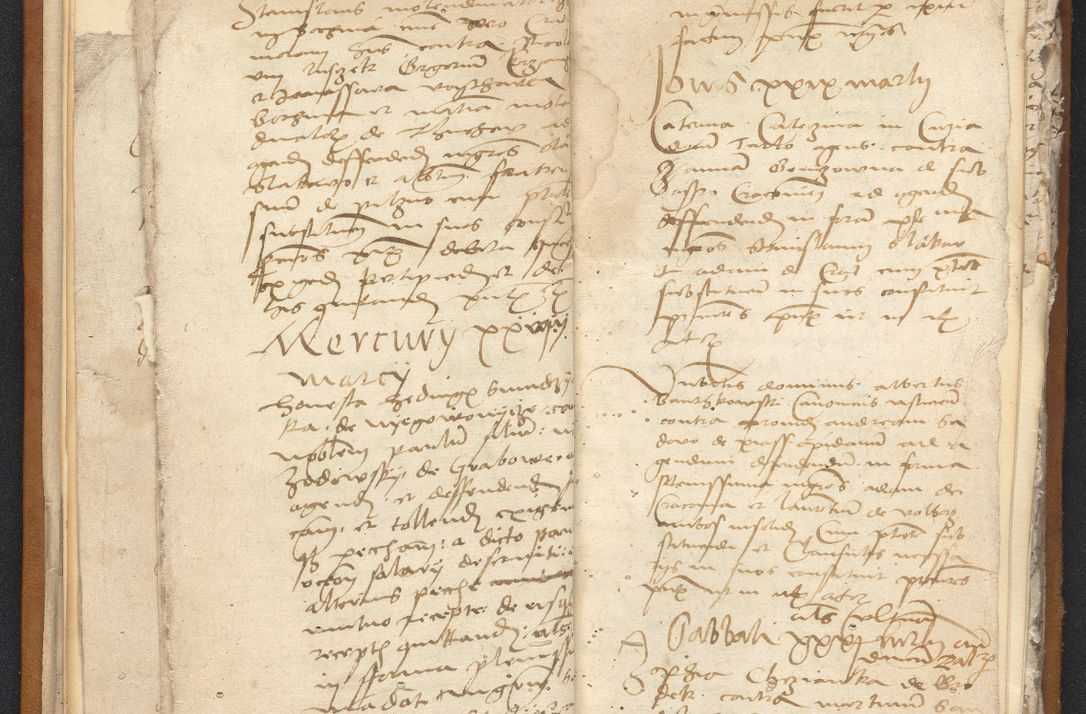 Zdjęcie nr 19 dla obiektu archiwalnego: [Acta constitutionum procuratorum vicarialia coram Nicolao Bedlenski]