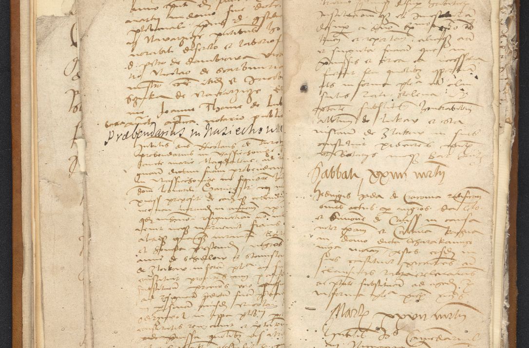 Zdjęcie nr 18 dla obiektu archiwalnego: [Acta constitutionum procuratorum vicarialia coram Nicolao Bedlenski]