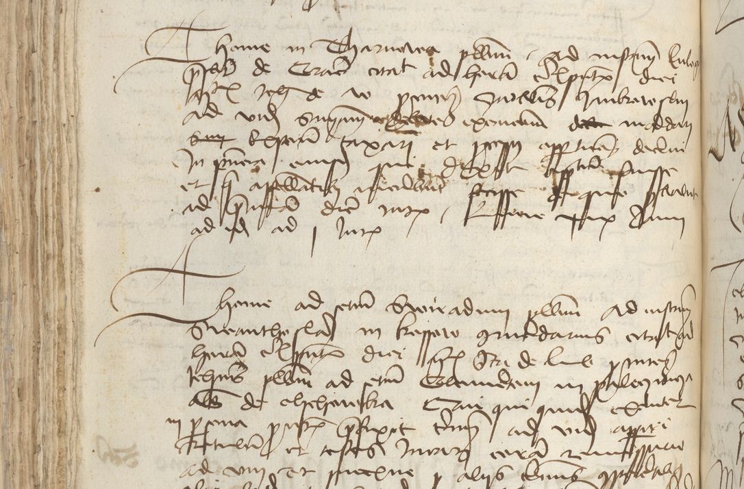 Zdjęcie nr 192 dla obiektu archiwalnego: [Acta pronuntiationum officialia coram Sandivogio de Thanczin]