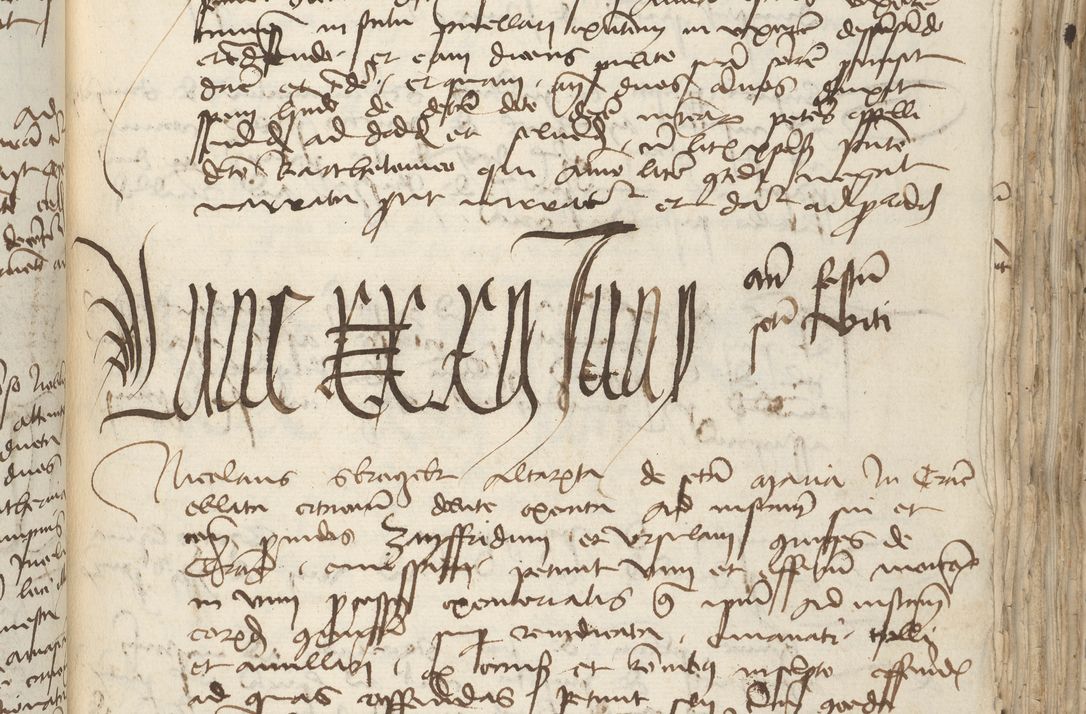 Zdjęcie nr 187 dla obiektu archiwalnego: [Acta pronuntiationum officialia coram Sandivogio de Thanczin]