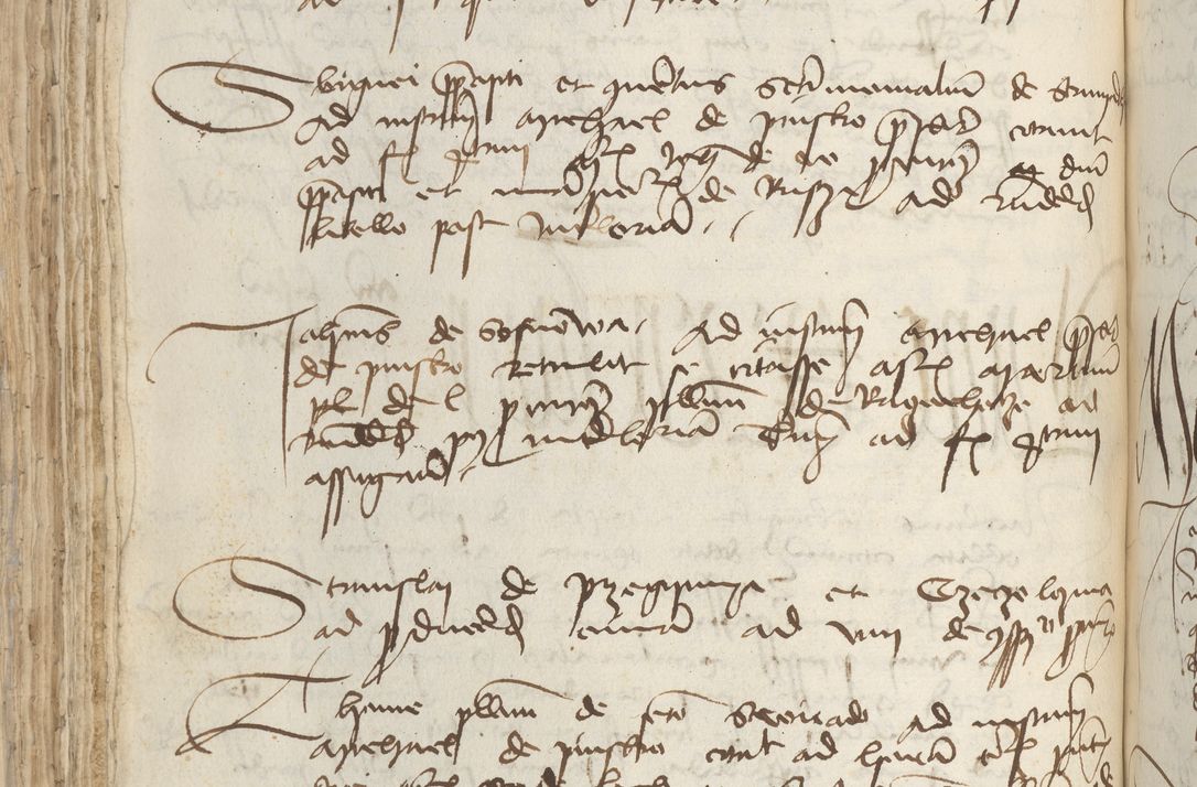 Zdjęcie nr 188 dla obiektu archiwalnego: [Acta pronuntiationum officialia coram Sandivogio de Thanczin]