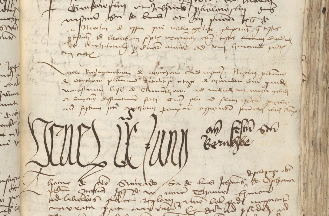 Zdjęcie nr 185 dla obiektu archiwalnego: [Acta pronuntiationum officialia coram Sandivogio de Thanczin]