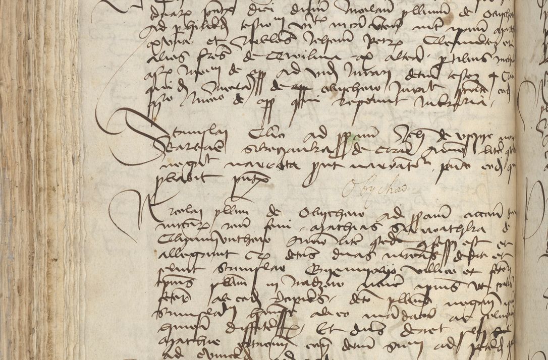 Zdjęcie nr 174 dla obiektu archiwalnego: [Acta pronuntiationum officialia coram Sandivogio de Thanczin]