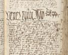 Zdjęcie nr 157 dla obiektu archiwalnego: [Acta pronuntiationum officialia coram Sandivogio de Thanczin]
