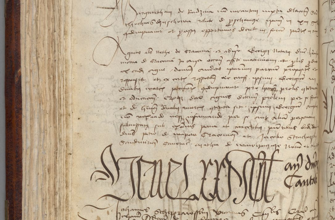 Zdjęcie nr 150 dla obiektu archiwalnego: [Acta pronuntiationum officialia coram Sandivogio de Thanczin]